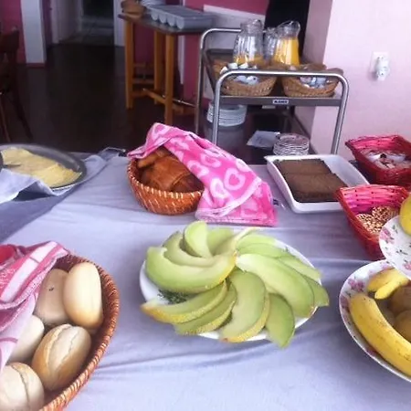 Brinkzicht De Koog (Texel)