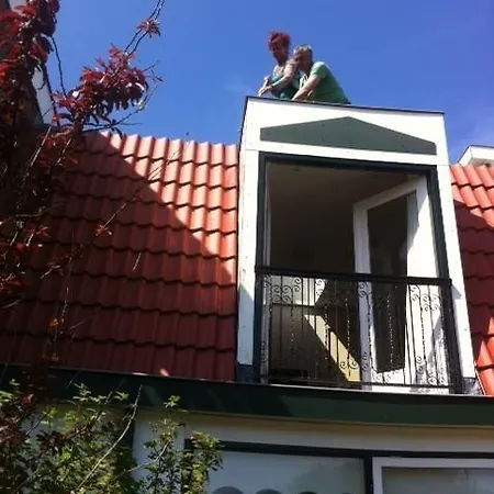 Brinkzicht