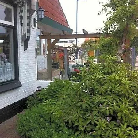 Brinkzicht De Koog (Texel)